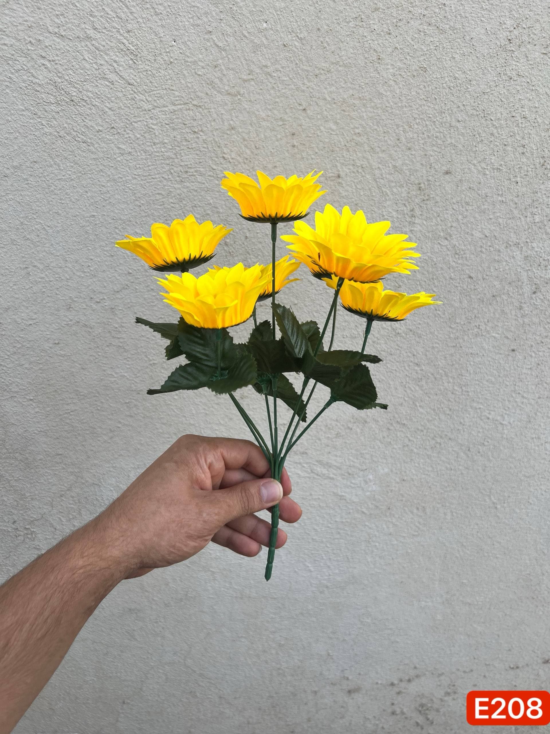 بوته آفتابگردان ۷ گل — تصویر ۴