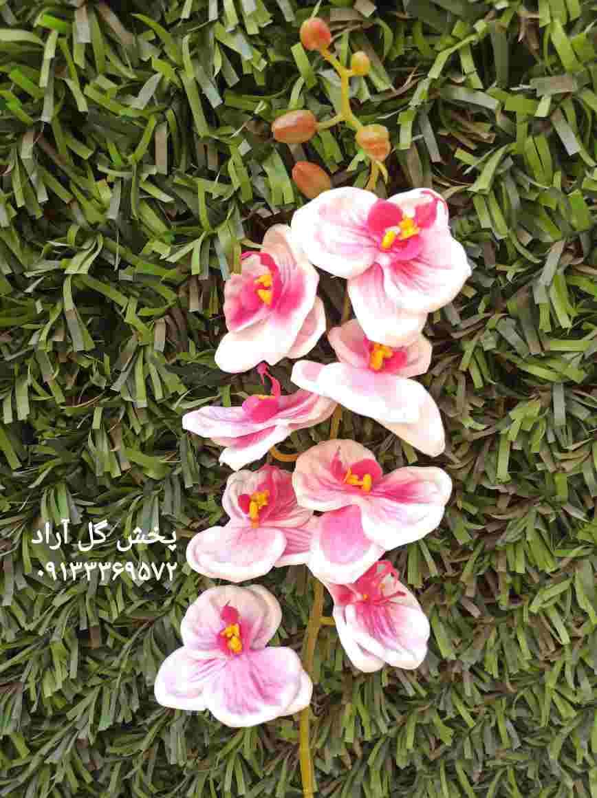گل ارکیده مصنوعی شاخه ای با قیمت عالی — تصویر ۳