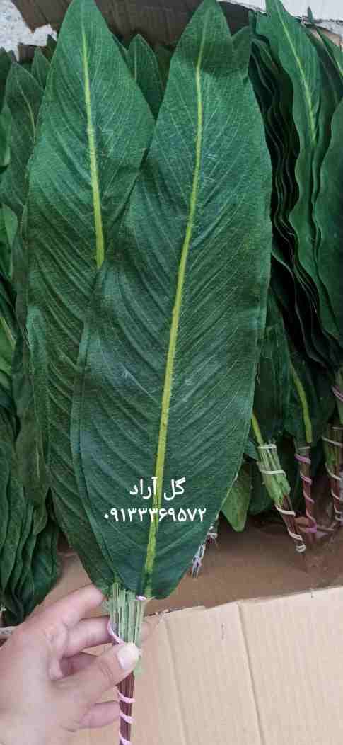 برگ مصنوعی بزرگ (استرزیا)