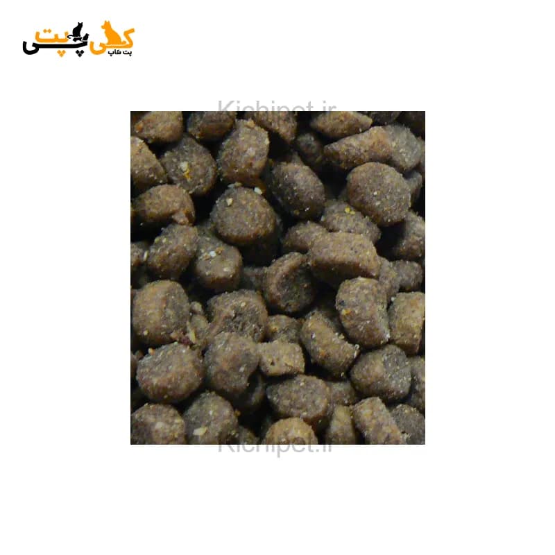 غذای خشک گربه تیست اف د وایلد ادالت Rocky Mountain – وزن 2 کیلوگرم — تصویر ۲