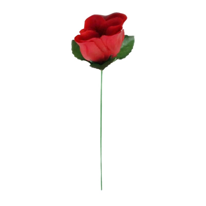 شعبده بازی گل تاشو ظاهر شونده — تصویر ۲