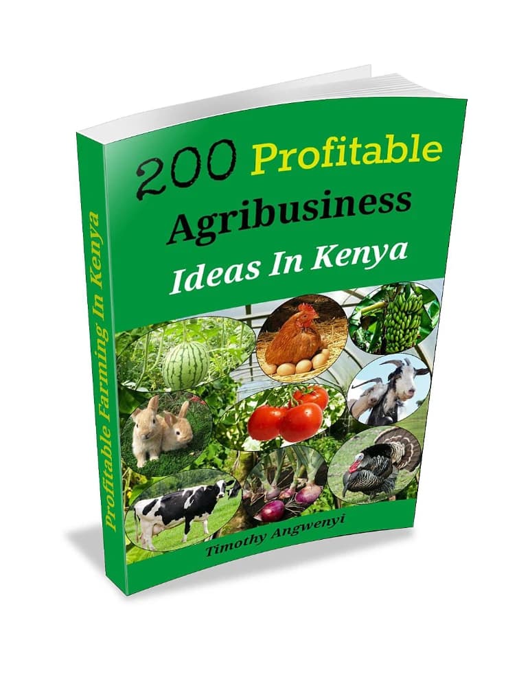 کتاب 200 Profitable Agribusiness Ideas Profitable Farming In (۲۰۰ ایده سودآور کسب‌وکار کشاورزی: کشاورزی سودآور) نسخه انگلیسی PDF | تیموتی آنگوِنی مورِبو