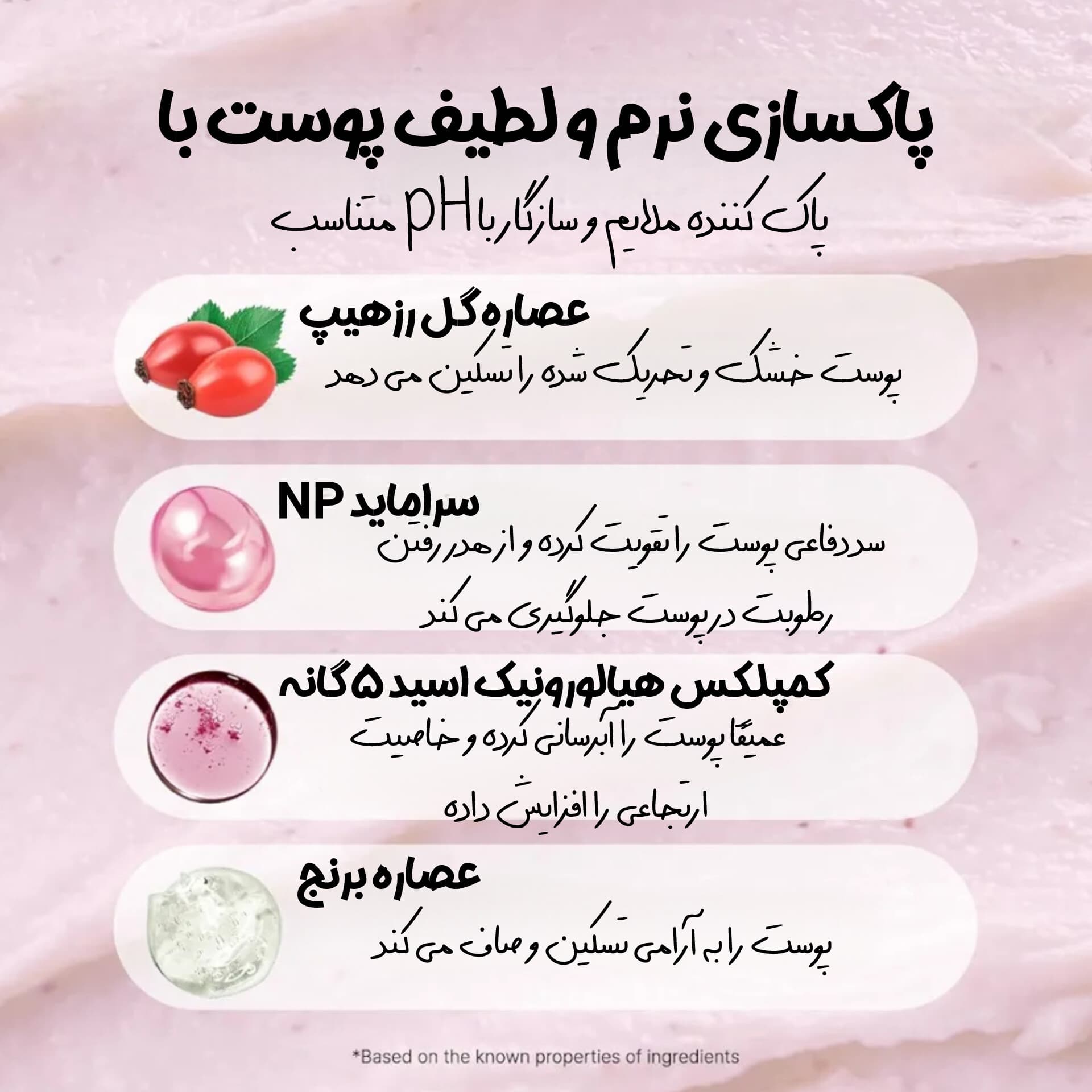 شوینده کیک برنجی متعادل کننده pH پوست رزهیپ آرنسیا — تصویر ۳