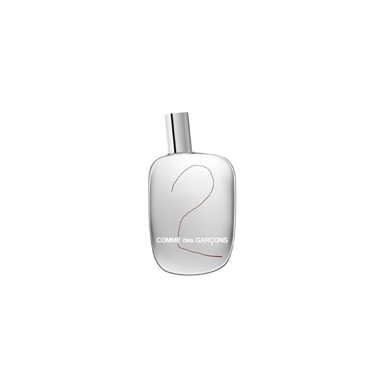 ادو پرفیوم کام دی کارگونس مدل Comme Des Garcons 2 100ml — تصویر ۲