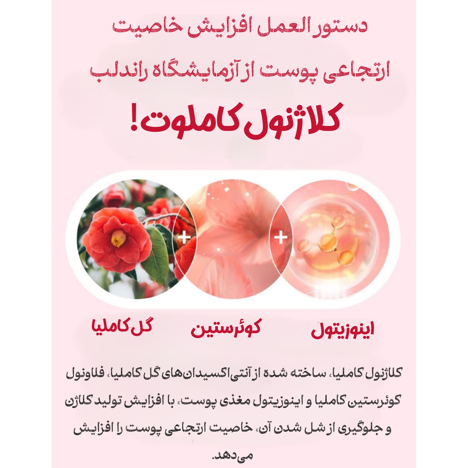 کرم سفت کننده و کلاژن ساز کاملیا راندلب — تصویر ۶