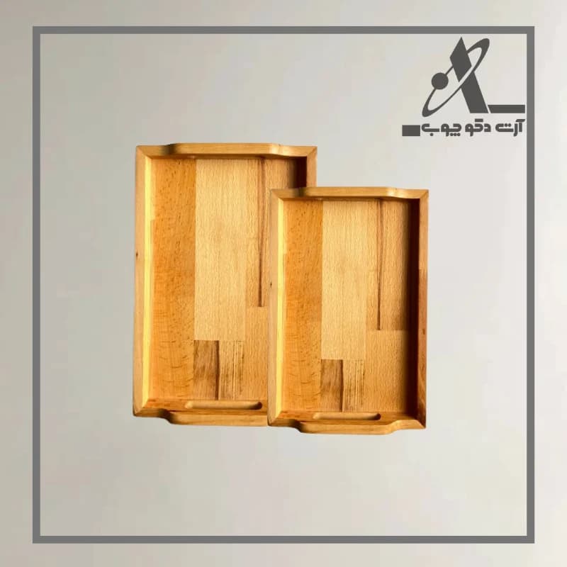 سینی مستطیل دسته دار مجلسی