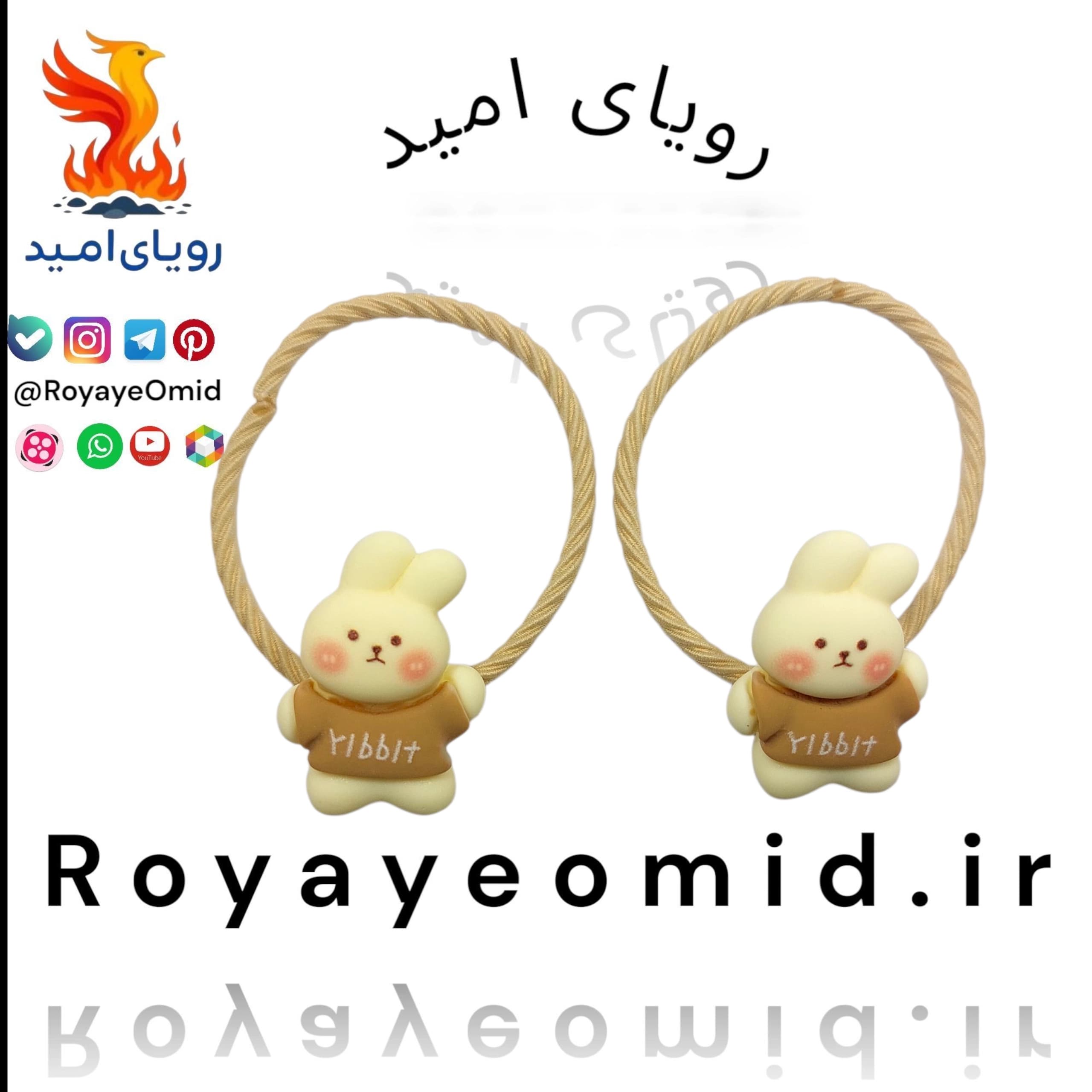 کش مو خرگوش مدل 002 بسته ۲ عددی