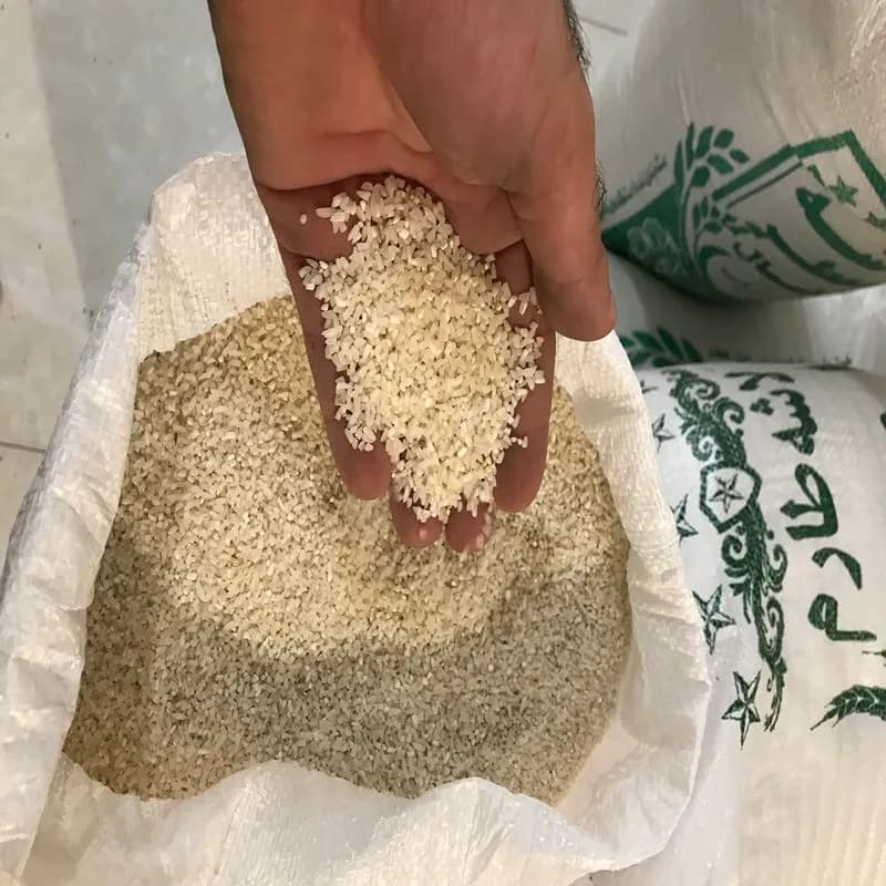 برنج لاشه طارم هاشمی اصل کشت اول 10 کیلویی — تصویر ۲