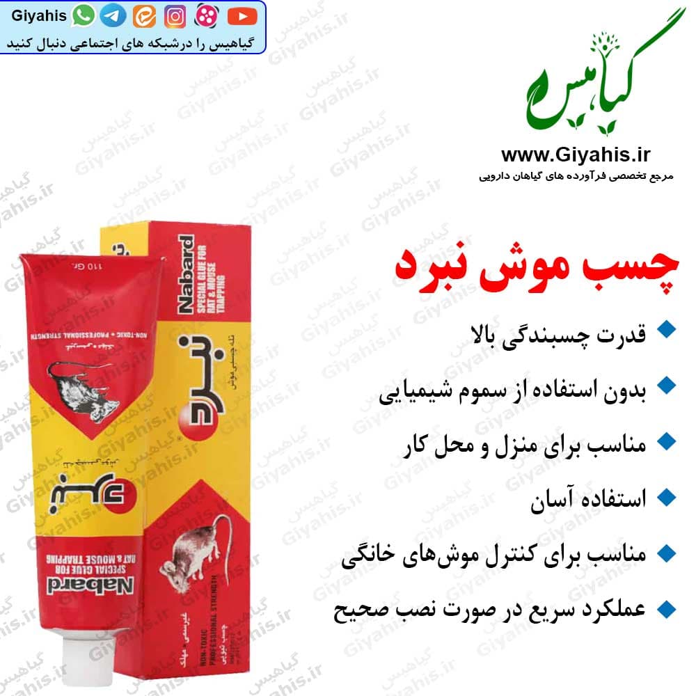 چسب موش نبرد