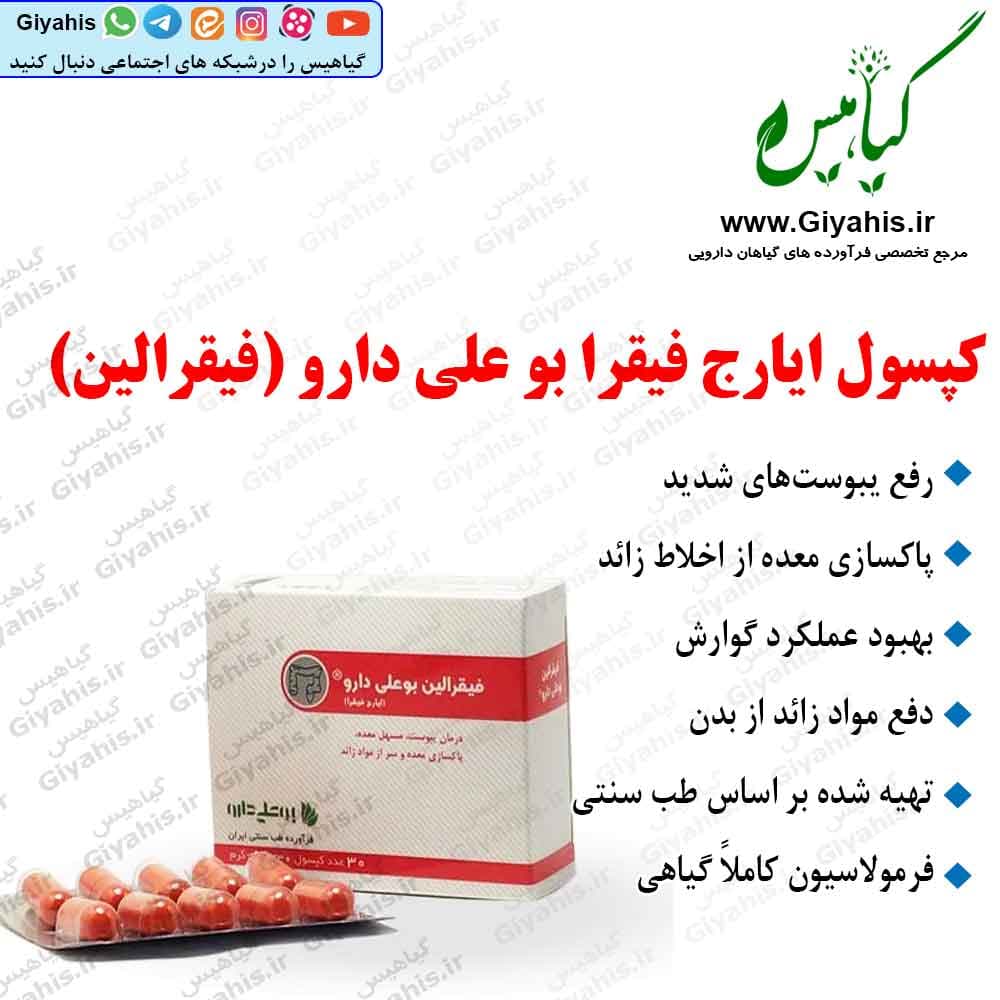 کپسول ایارج فیقرا بو علی دارو (فیقرالین)