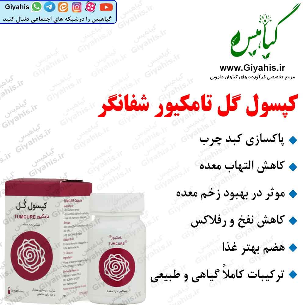 کپسول گل تامکیور شفانگر