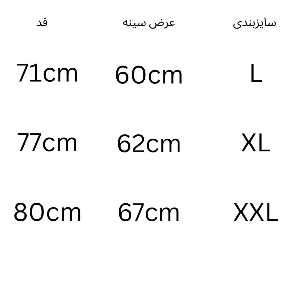 دورس نیم زیپ مردانه — تصویر ۲