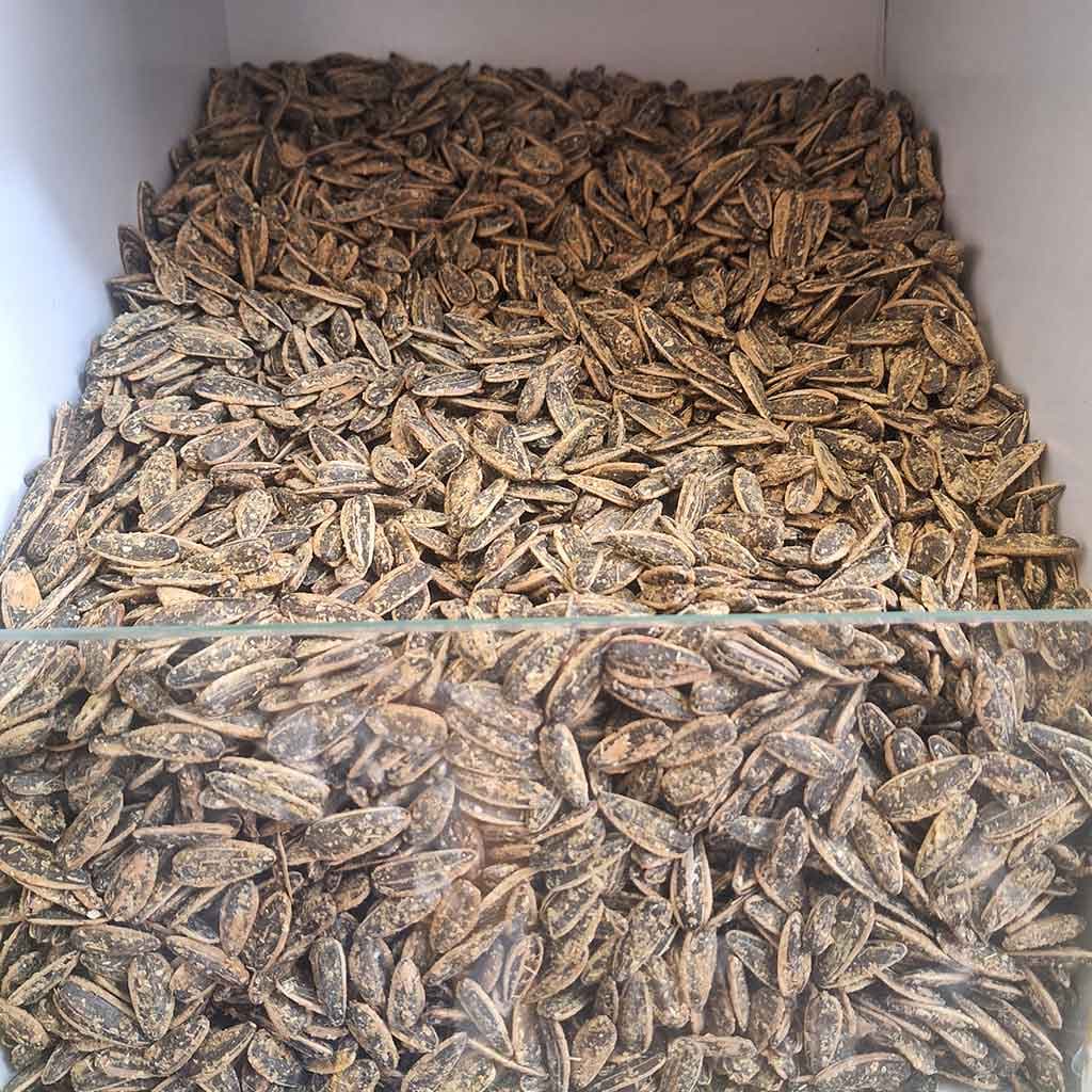 تخمه آفتاب گردان خارجی اعلا | Super Sunflower Seed — تصویر ۳
