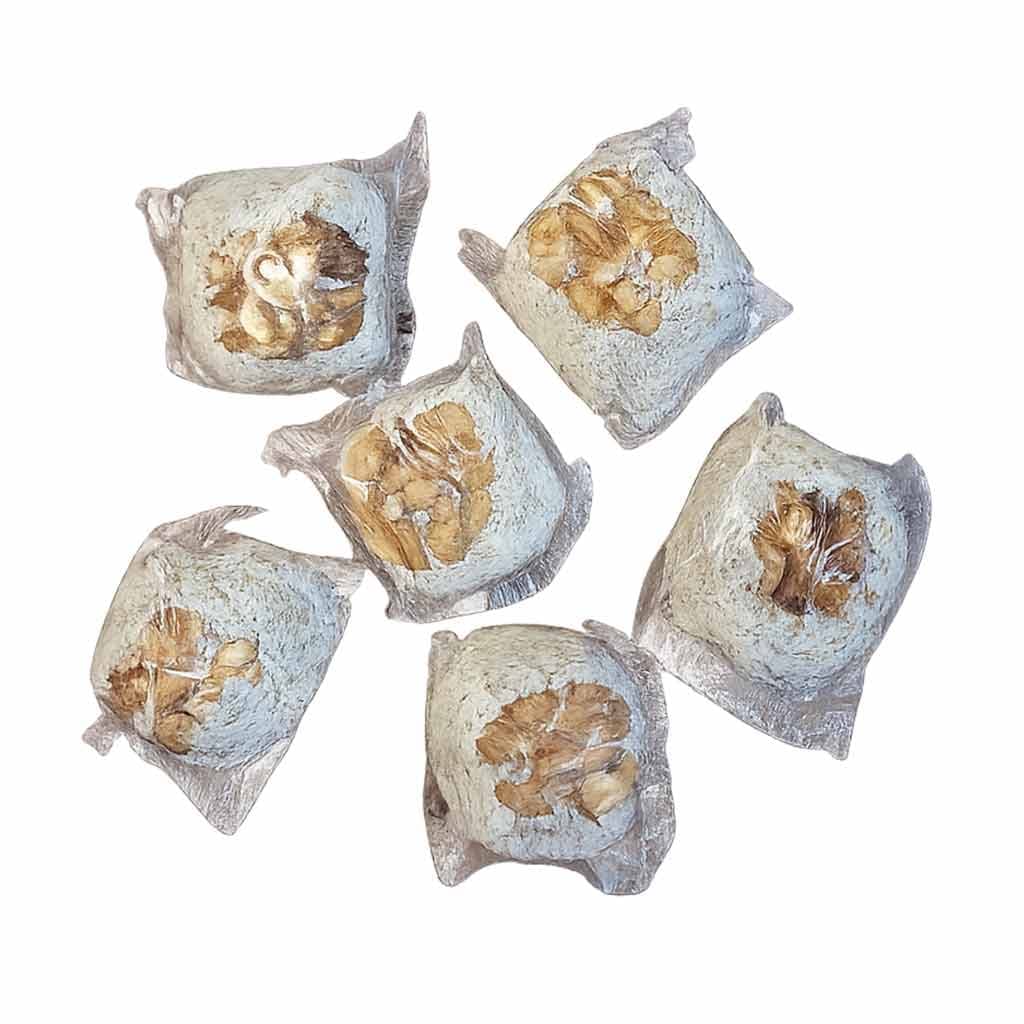 باسلوق گردویی | Walnut Baslogh