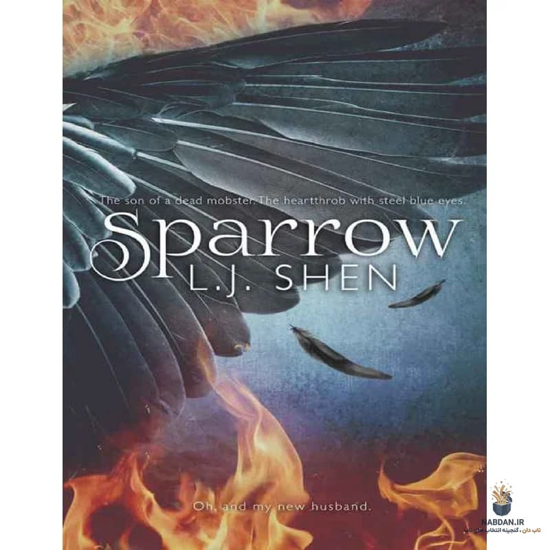 کتاب Sparrow (گنجشک) نسخه انگلیسی PDF | ال. جی. شن — تصویر ۳