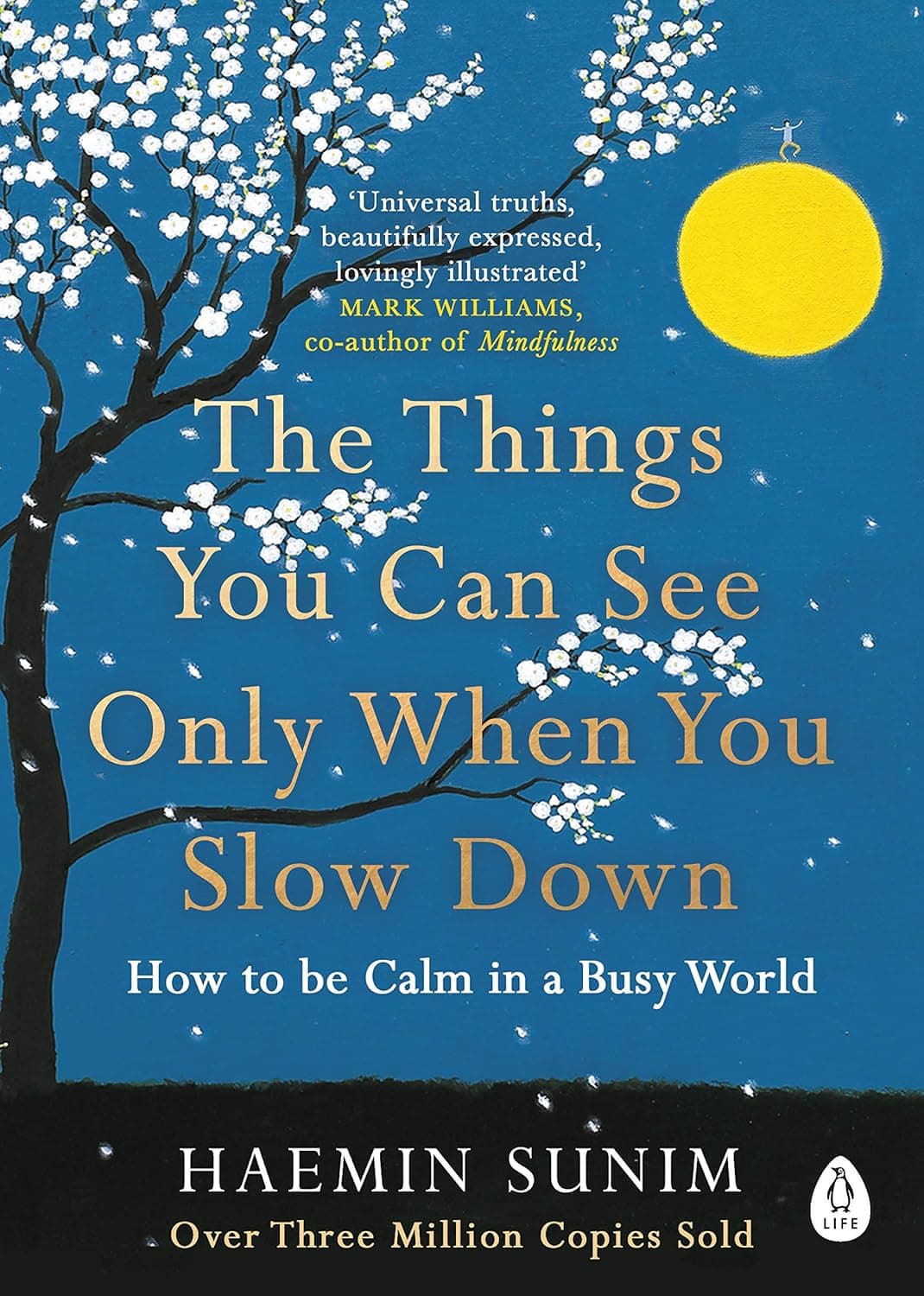 کتاب The Things You Can See Only When You Slow Down (چیزهایی که تنها وقتی آهسته می‌شوی می‌بینی) نسخه انگلیسی PDF | همین سونیم