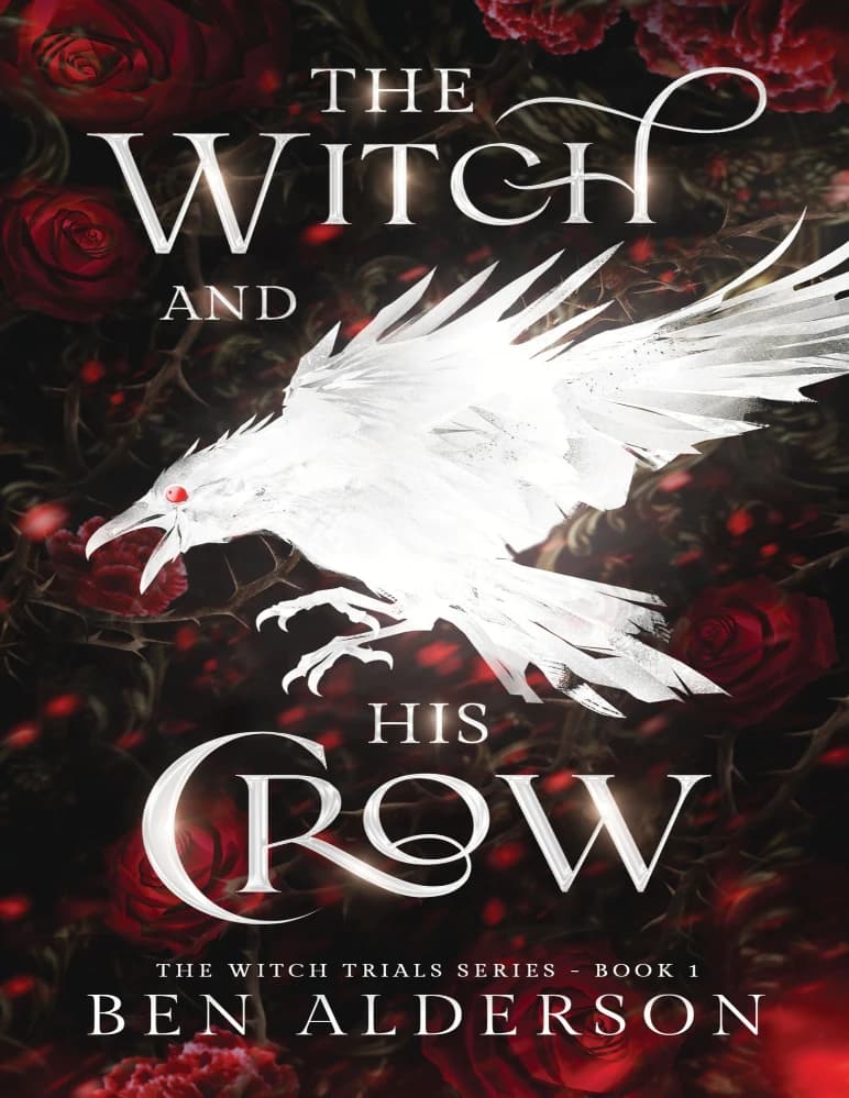 کتاب The Witch and His Crow (جادوگر و کلاغش) نسخه انگلیسی PDF | بن آلدرسون — تصویر ۲