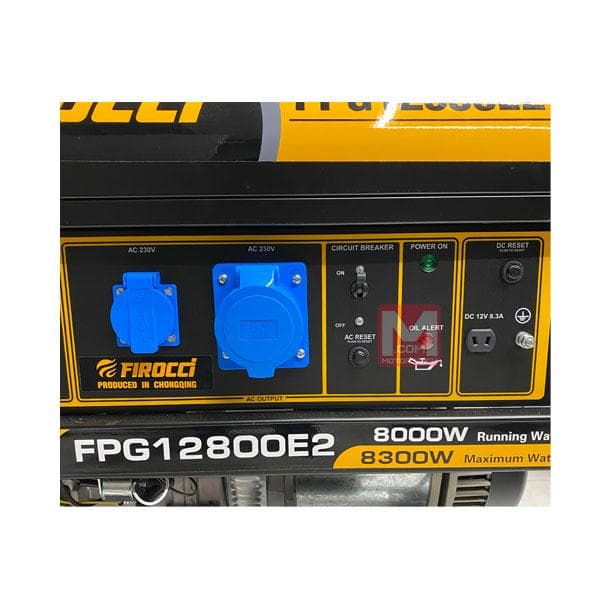 موتور برق فیروکسی 8.3کیلووات مدل FPG12800E2 — تصویر ۵