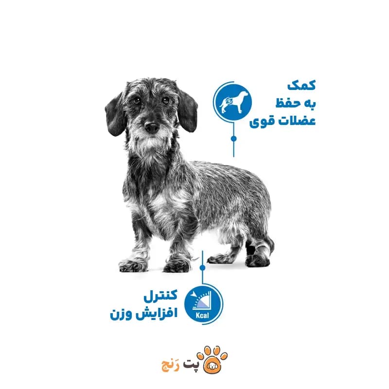 غذای خشک رویال کنین مینی لایت ویت (Royal Canin Mini Light Weight) — تصویر ۶