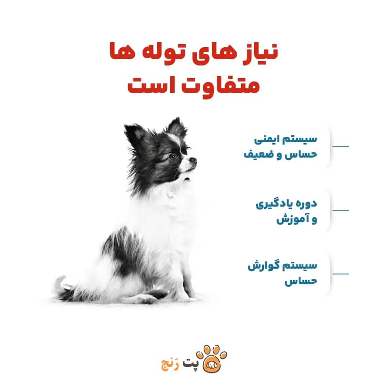 غذای خشک سگ رویال کنین پاپی X-Small Puppy | مخصوص توله‌ سگ نژاد خیلی کوچک ۲ تا ۱۰ ماه — تصویر ۴