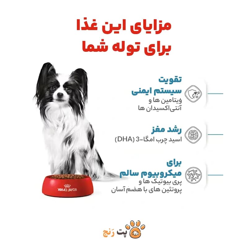 غذای خشک سگ رویال کنین پاپی X-Small Puppy | مخصوص توله‌ سگ نژاد خیلی کوچک ۲ تا ۱۰ ماه — تصویر ۵