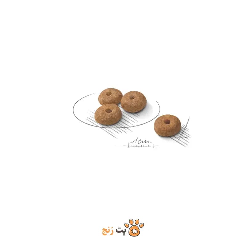 غذای خشک سگ رویال کنین مینی استرلایز (Mini Sterilised) — تصویر ۷