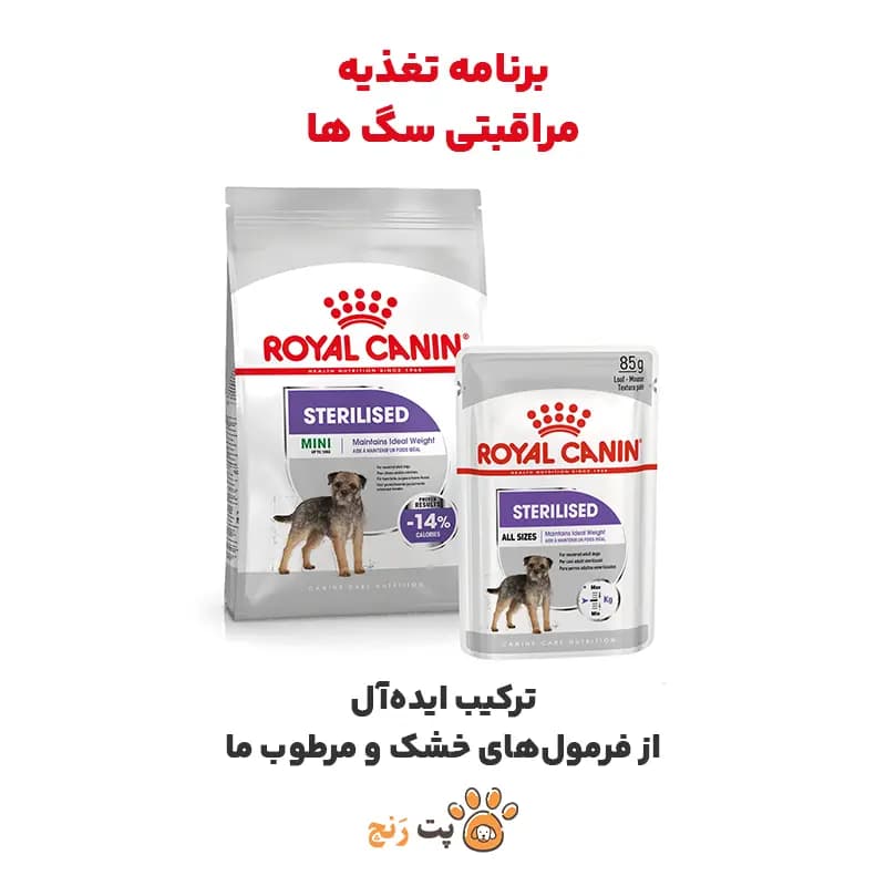 غذای خشک سگ رویال کنین مینی استرلایز (Mini Sterilised) — تصویر ۵