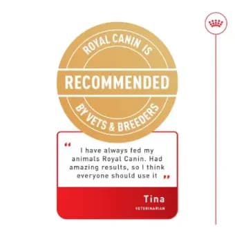 غذای خشک گربه رویال کنین فیت (Royal Canin Fit 32) — تصویر ۳