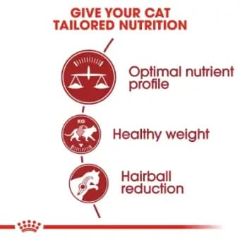 غذای خشک گربه رویال کنین فیت (Royal Canin Fit 32) — تصویر ۵