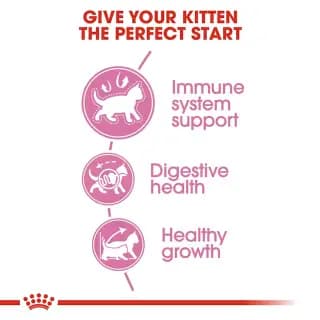 غذای خشک بچه گربه رویال کنین مدل Kitten | مخصوص رشد و تقویت ایمنی (۴ تا ۱۲ ماه) — تصویر ۵