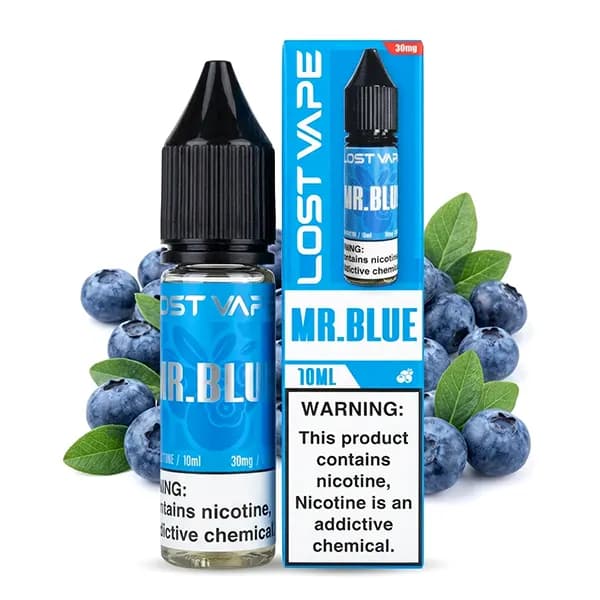 سالت نیکوتین 10 میل مستر بلوبری لاست ویپ | LOST VAPE MR BLUE 10ML
