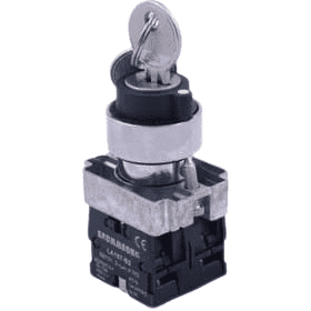 کلید گردون XB2-Bg73 دوطرفه کلیددار استارتی