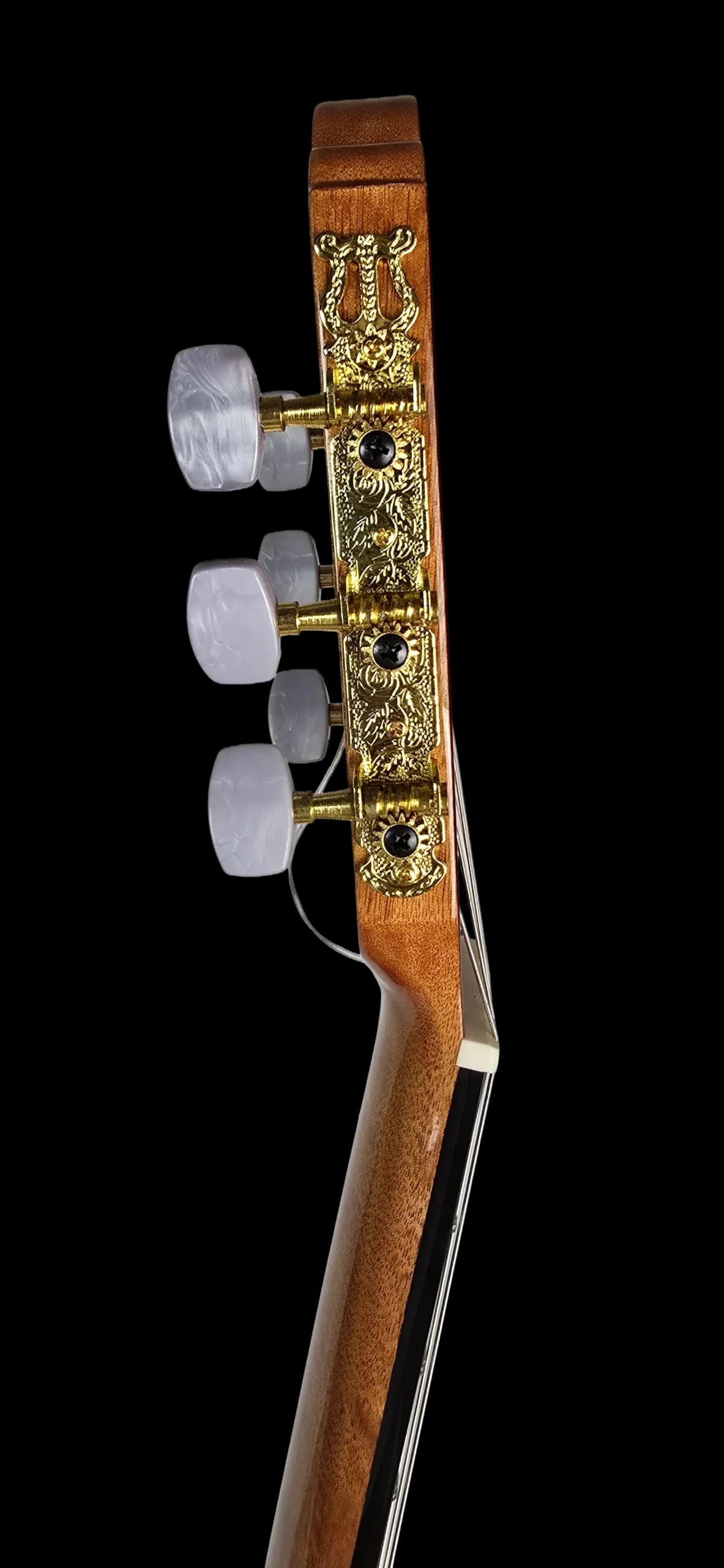 گیتار کلاسیک آریا مدل AK-30-Cut — تصویر ۴