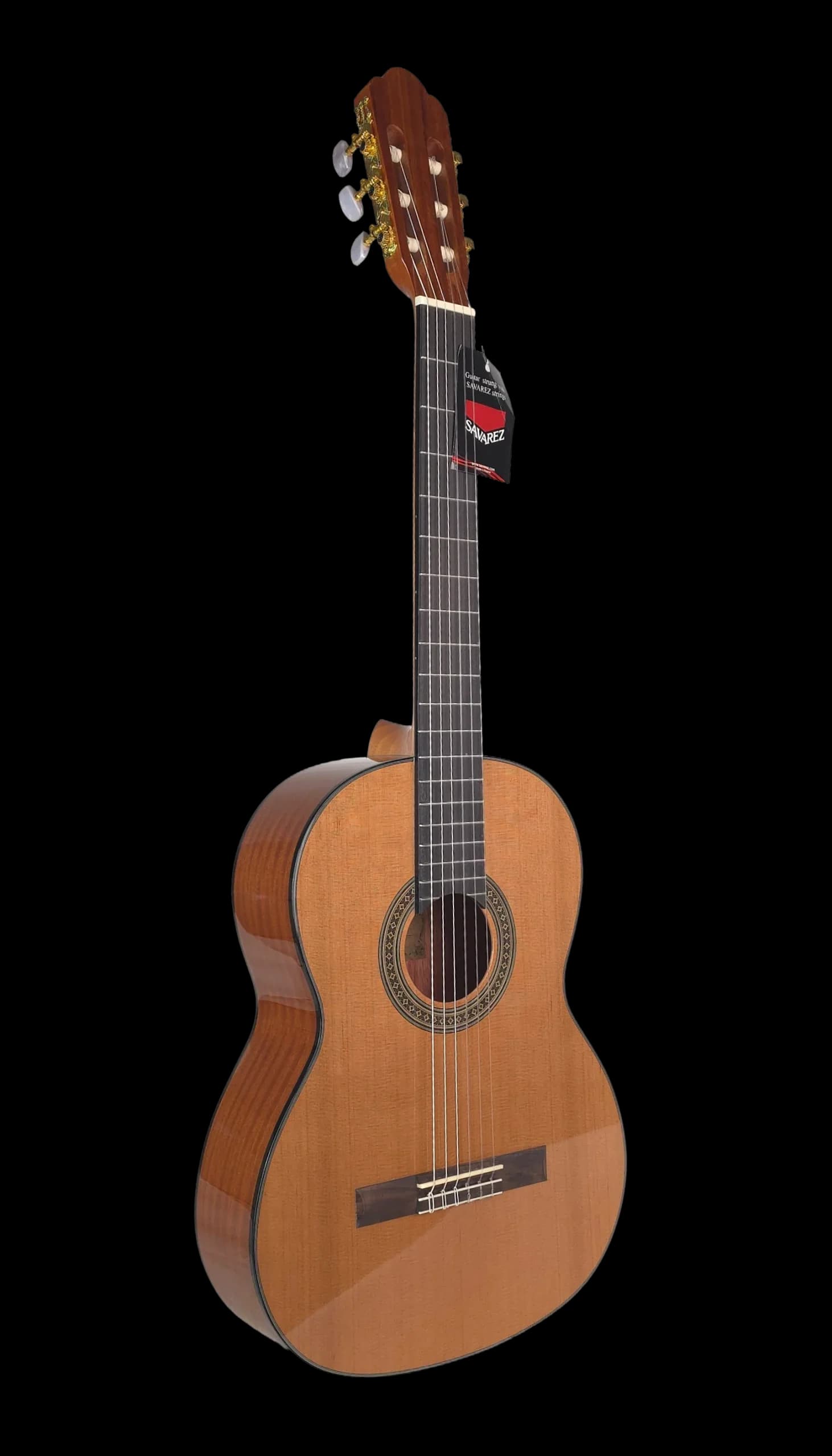 گیتار کلاسیک آریا مدل AK-30