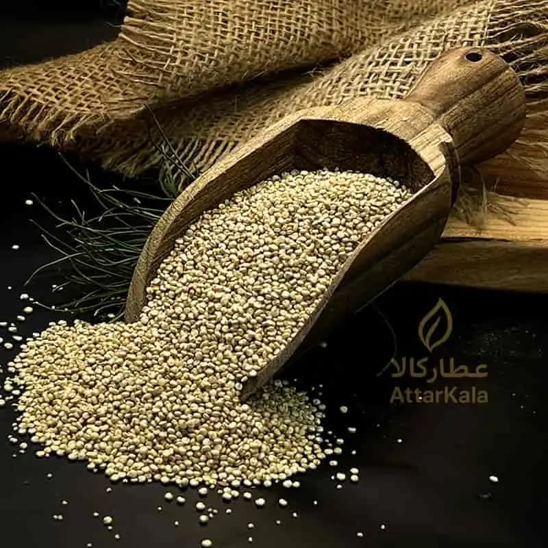 کینوا سفید خارجی — تصویر ۶