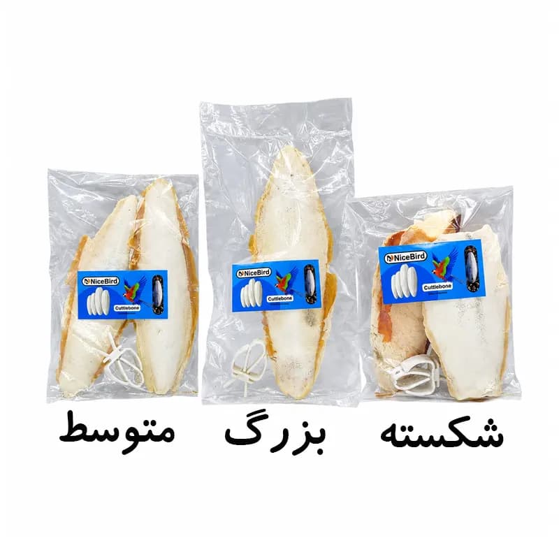 کف دریا نایس برد برای پرندگان و طوطی‌سانان — تصویر ۵