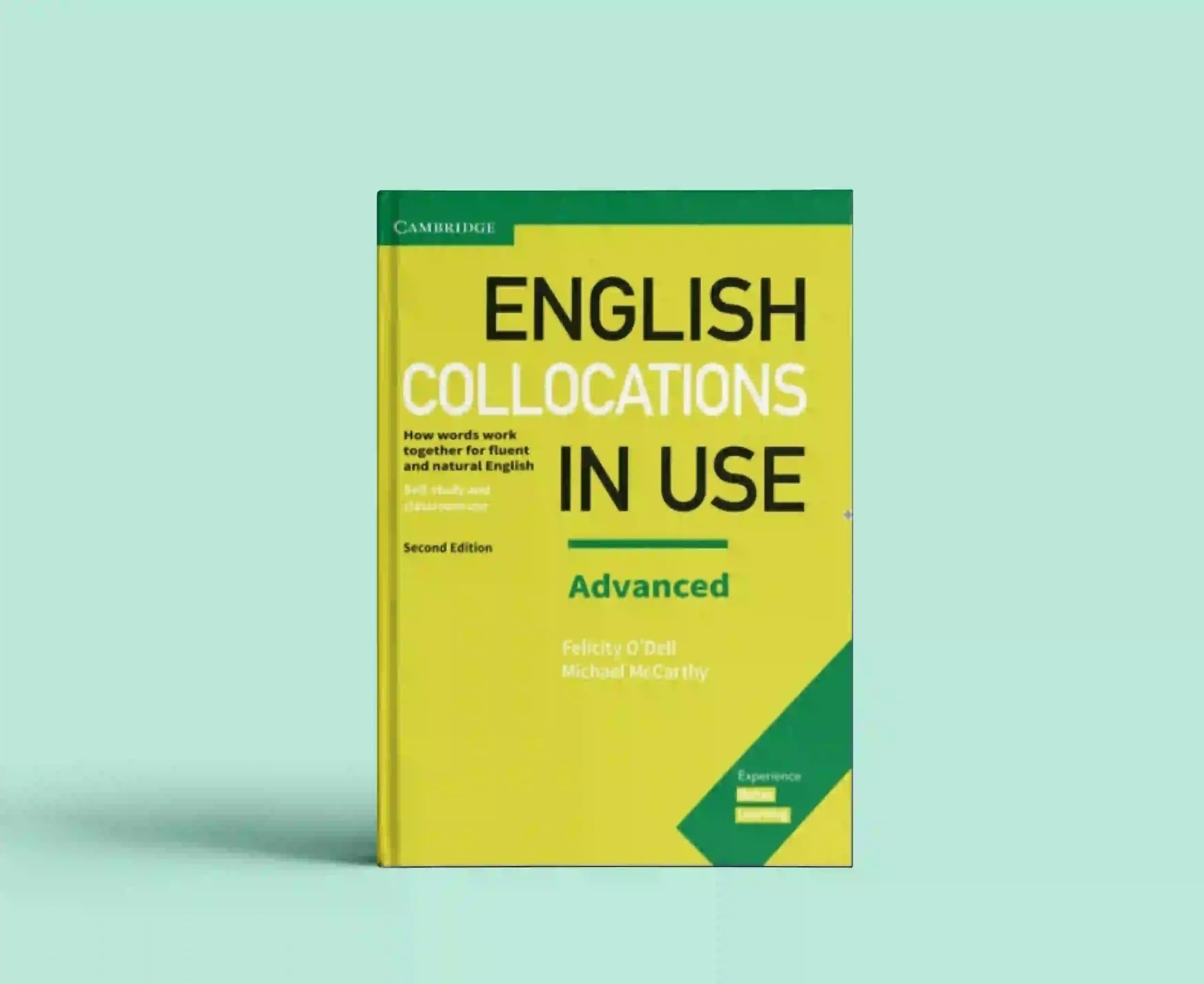 English Collocations in Use: Advanced (Second Edition)