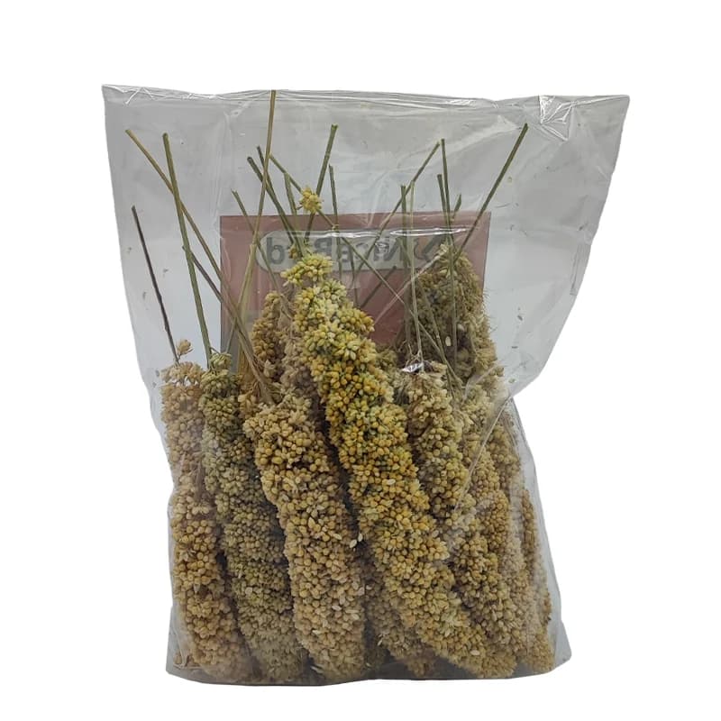 ارزن خوشه ای نایس برد برای عروس هلندی و طوطی سانان — تصویر ۵