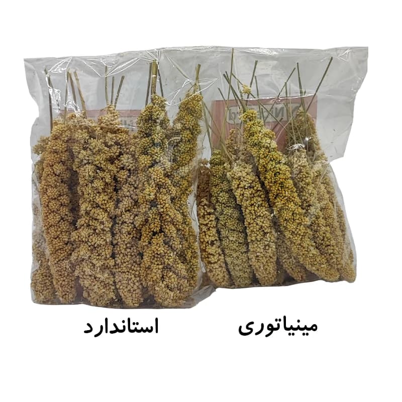 ارزن خوشه ای نایس برد برای عروس هلندی و طوطی سانان — تصویر ۲