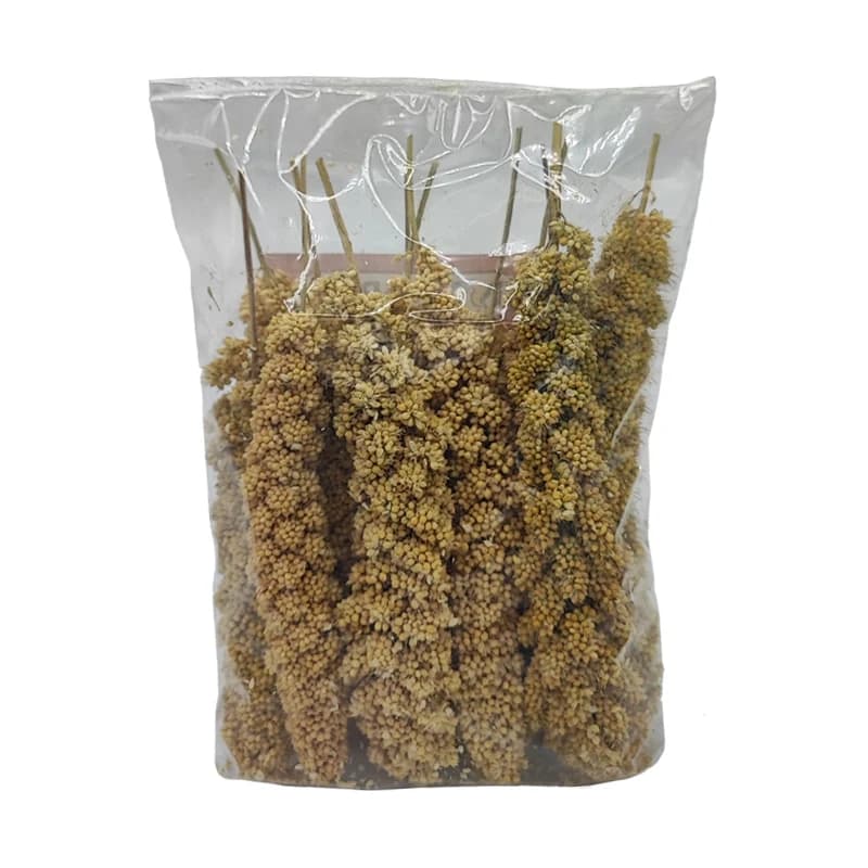 ارزن خوشه ای نایس برد برای عروس هلندی و طوطی سانان — تصویر ۴