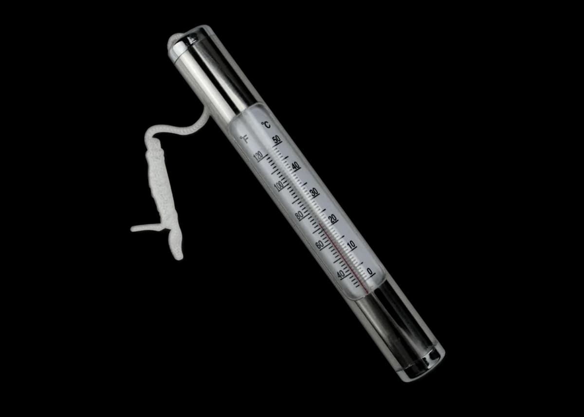 دماسنج استخری استیل FT-09