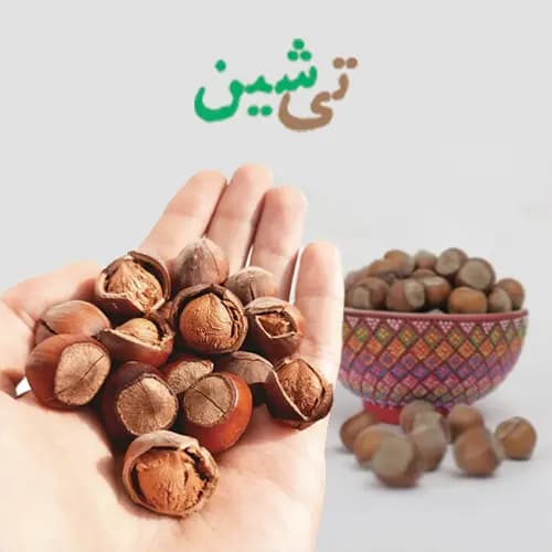 فندق خام و خشک شده اشکورات — تصویر ۳
