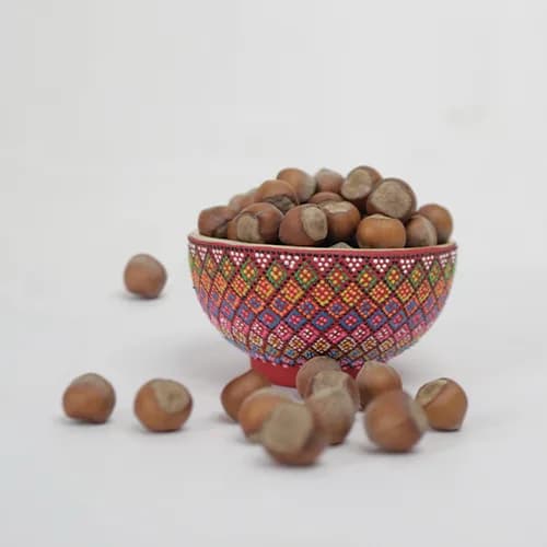 فندق خام و خشک شده اشکورات