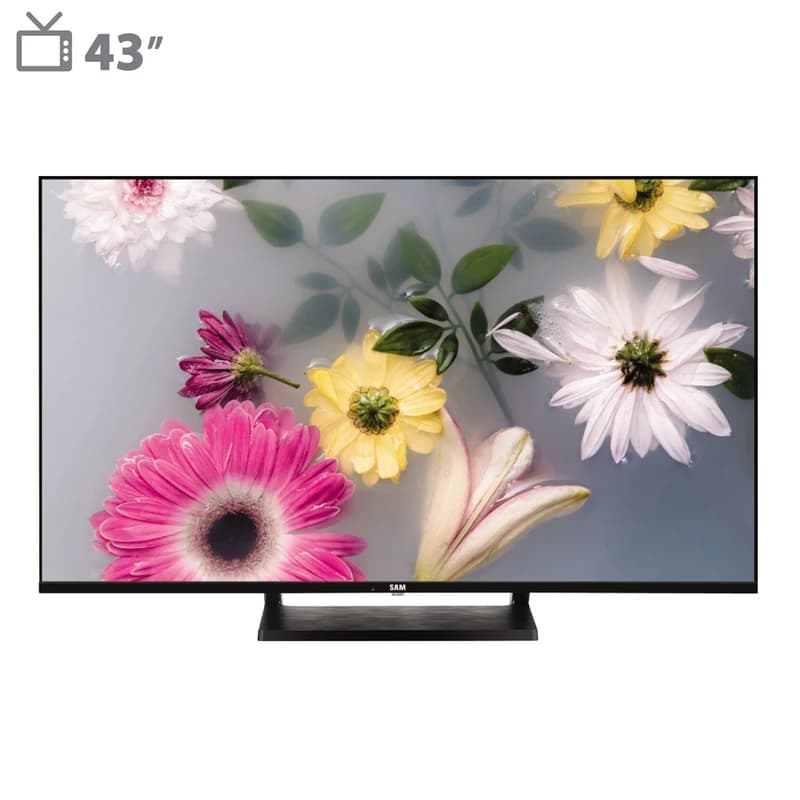 تلویزیون سام 43 اینچ مدل 43D6500 — تصویر ۴