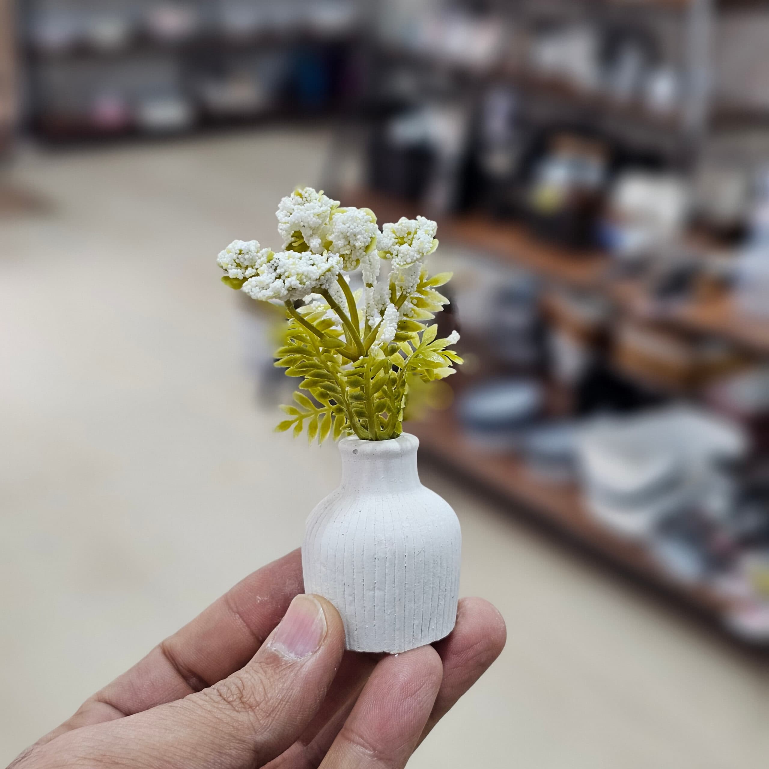 گل مینیاتوری گل سفید