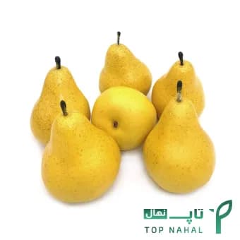 نهال گلابی زرد درشت