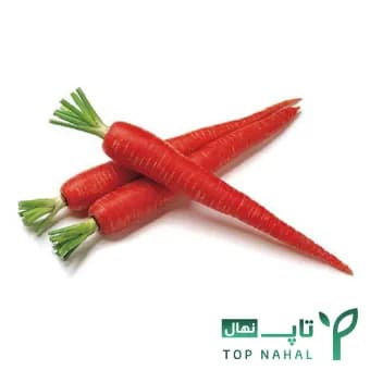 پک 5 تایی انواع بذر هویج Carrot seeds — تصویر ۶
