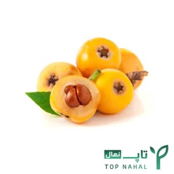 نهال ازگیل ژاپنی (وارداتی)
