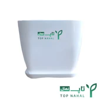 گلدان مربعی (چهارگوش) ارکید