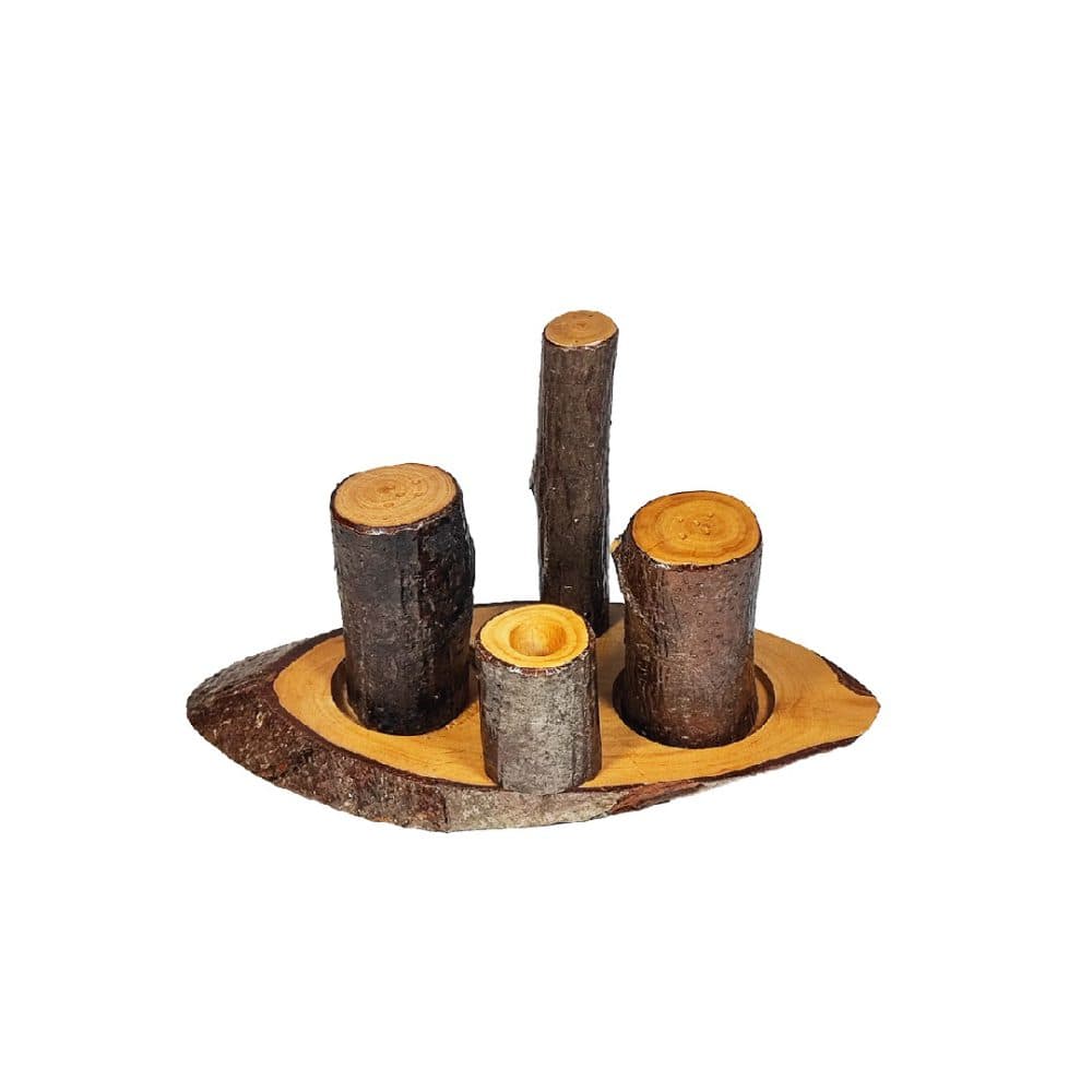 نمک پاش و جا خلال چوبی تنه درختی